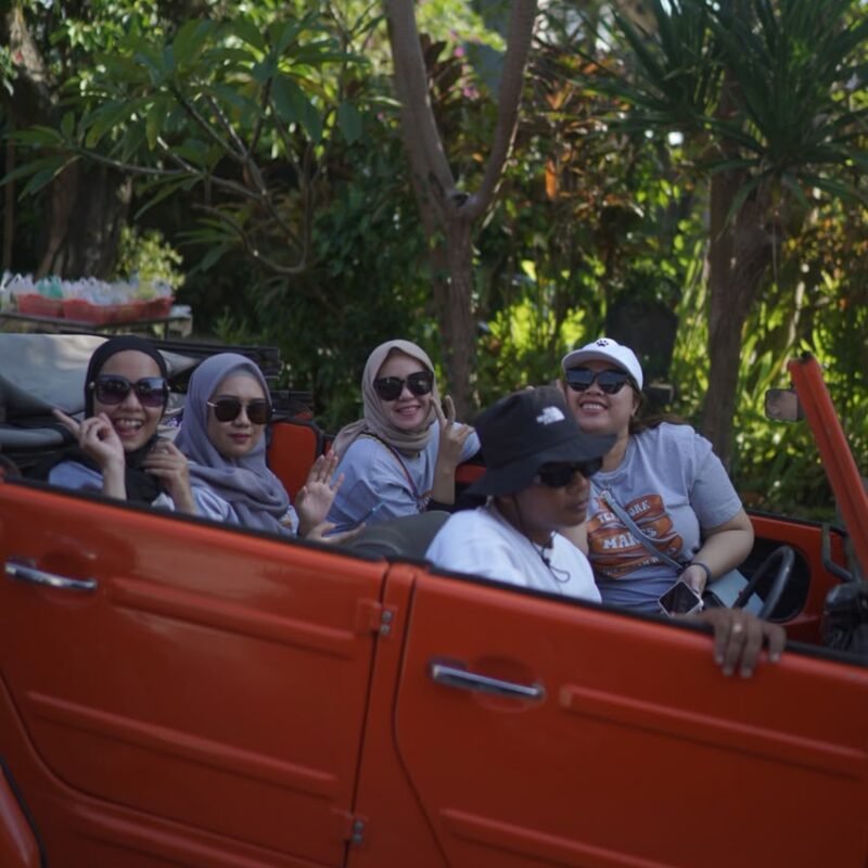 tour-bali-vw-safari